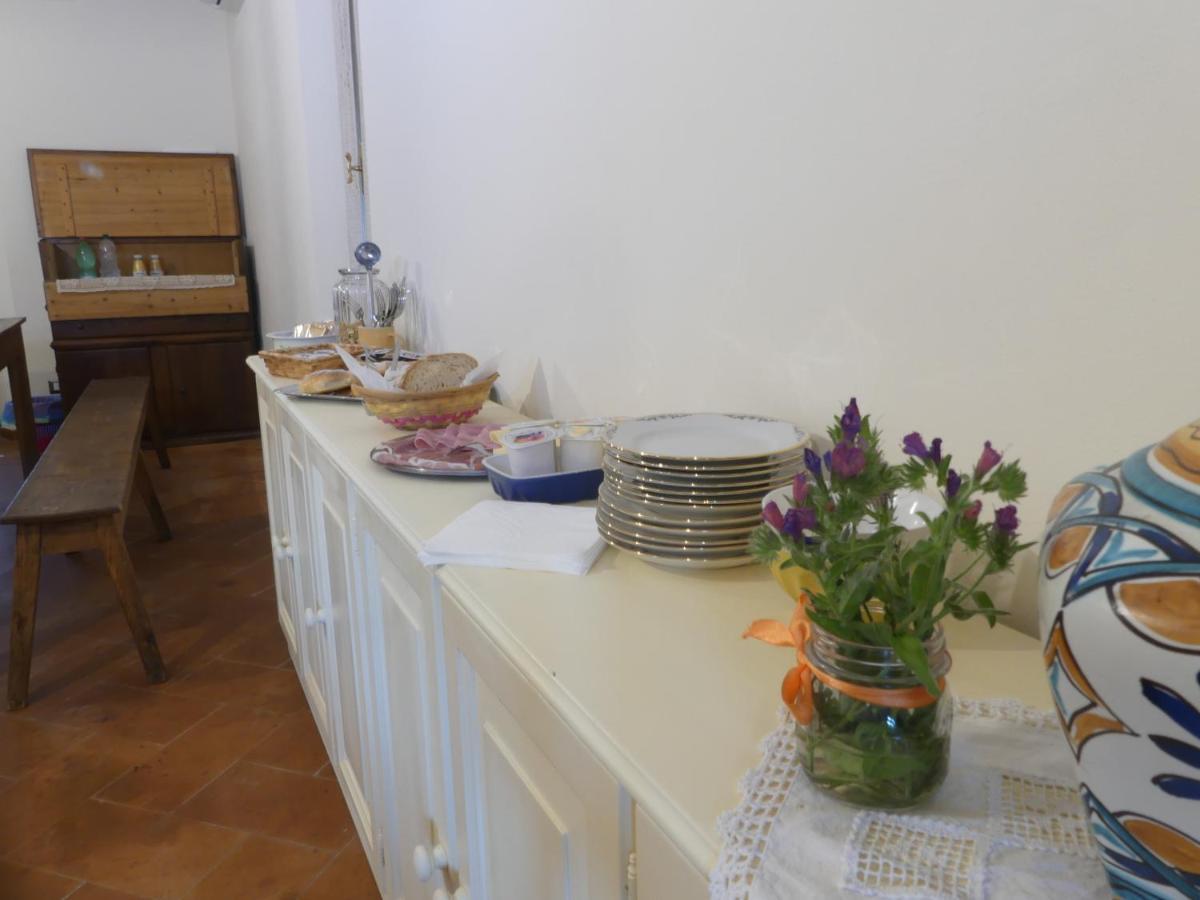 Helichrysum Bed & Breakfast Vinci Eksteriør bilde