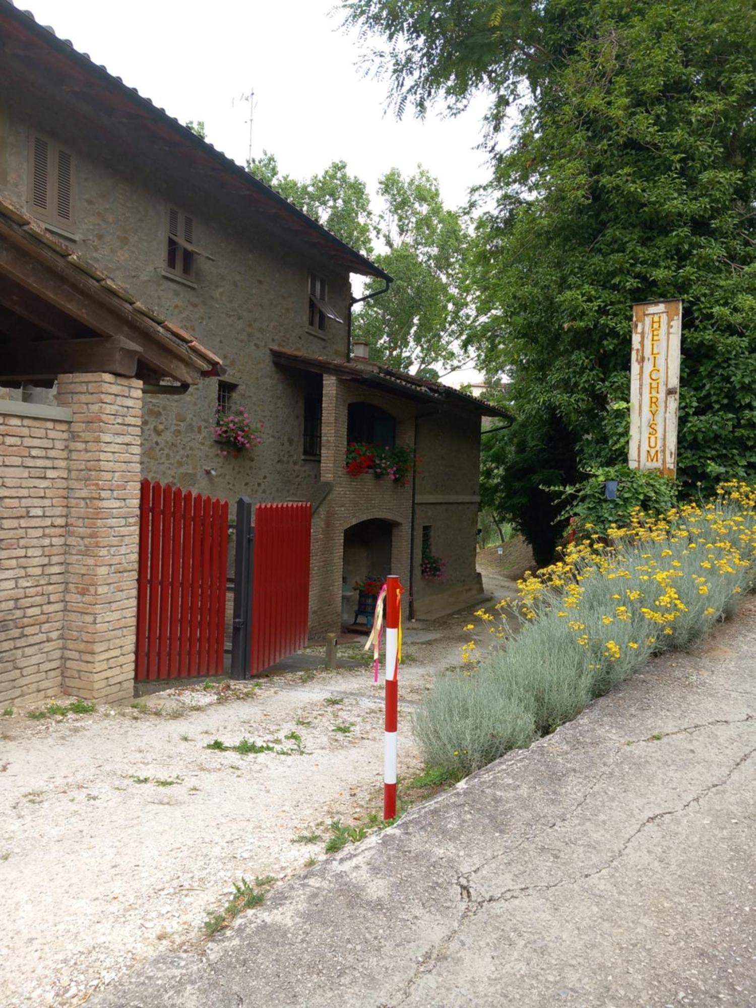 Helichrysum Bed & Breakfast Vinci Eksteriør bilde